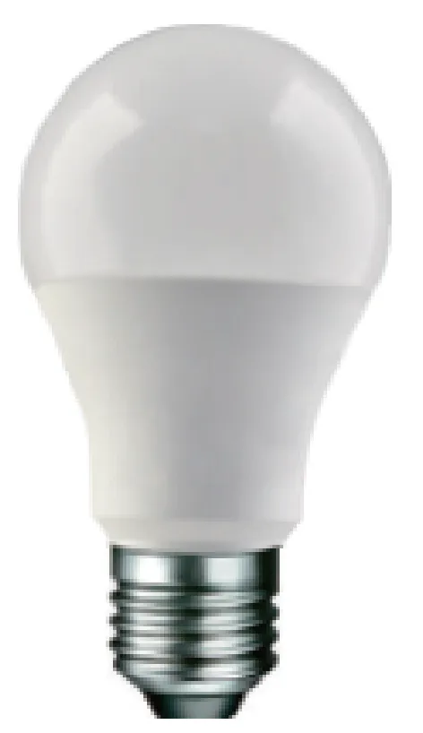 麗光科技股份有限公司